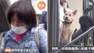 日本一女占卜師在公寓內養了58只寵物被逮捕！家中動物種類應有盡有，網友：打算在家開動物園嗎？