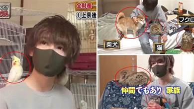 日本小哥為寵物花費7000萬，家中坐擁160隻寵物！一進家門：這是開了個動物園吧