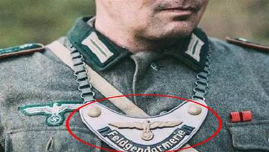德軍士兵眼中的鏈狗！「月牙牌」奢華有個性，令士兵望而生畏