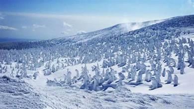 日本冬天才能看到的「樹冰奇觀」，就在這兩個地方，十幾年後就再也看不到了！