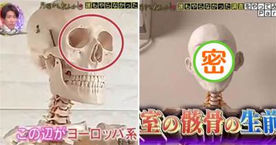 通過骷髏模型能看出來生前是帥哥？日本節目將其復原後長這樣！