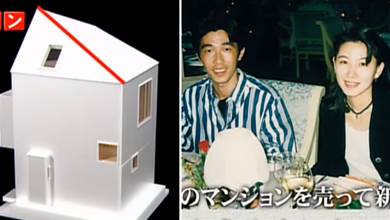 為免費看到迪士尼煙花，夫妻蝸居16m²房子；一家四口家中安裝7處機關；這些日本住宅太奇葩！