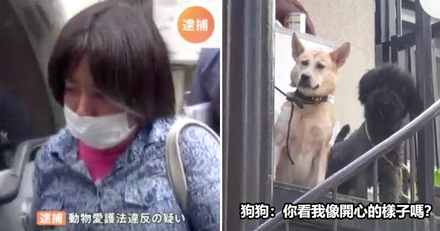 日本一女占卜師在公寓內養了58只寵物被逮捕！家中動物種類應有盡有，網友：打算在家開動物園嗎？