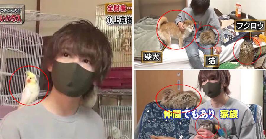 日本小哥為寵物花費7000萬，家中坐擁160只寵物！網友：這是開了個動物園吧！XD