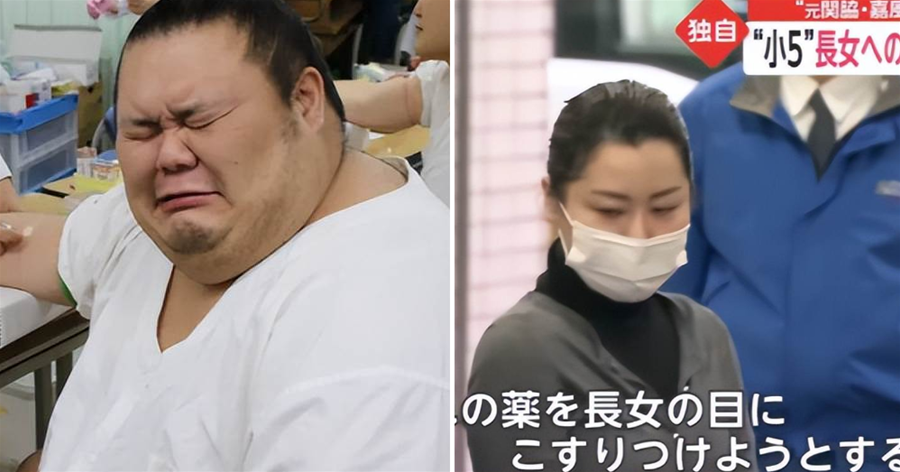 日本300斤相撲手：被80多斤嬌妻家暴，對方有情人要失婚分5億家產