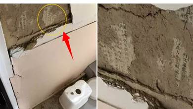 日本網友家中浴室，因強烈地震牆皮脫落，驚現詭異符咒文字，破解之後「太厲害了」！