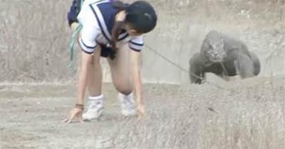 日本女子，作死勾引科莫多巨蜥追自己，鏡頭拍下驚險過程！