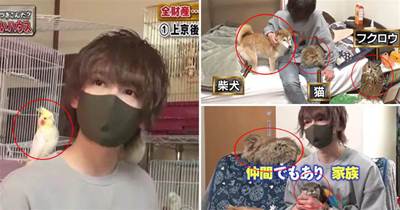 日本小哥為寵物花費7000萬，家中坐擁160只寵物！網友：這是開了個動物園吧！XD