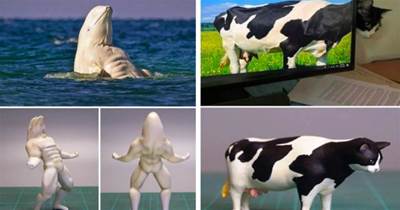 我到底看了什麼XD 日本藝術家巧妙將搞笑動物照化成「令人噴飯」的雕刻品