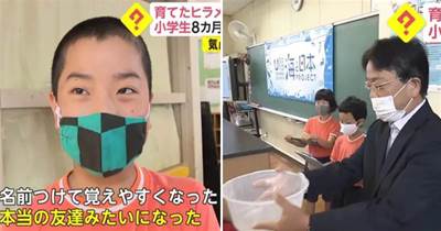 日本一堂小學教育課，引發外界評判，殘忍背後的真實意圖引發深思，網友：他們還只是孩子~
