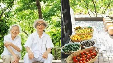 日本一對177歲老夫妻的「田園生活」，28坪的原木小屋+200坪菜園，看完才知道什麼叫真正一起變老