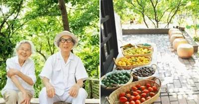 日本一對177歲老夫妻的「田園生活」，28坪的原木小屋+200坪菜園，看完才知道什麼叫真正一起變老