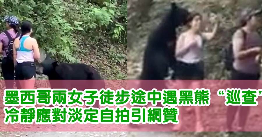 墨西哥兩女子徒步途中遇黑熊「巡查」，冷靜應對淡定自拍引網贊