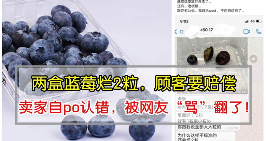 顾客网购蓝莓：老板讲全部大大粒，结果坏了2粒，有1粒很小粒，网友：蓝莓已经很尽力了