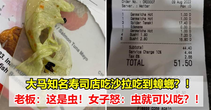 大马女网友投诉知名寿司店：salad里面有蟑螂，老板却说那是虫？