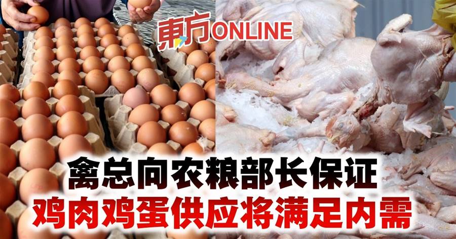 禽总向农粮部长保证　鸡肉鸡蛋供应将满足内需